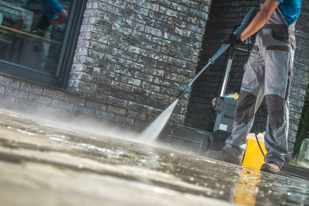 Best Graffiti Removal  in Woodhaven, MI