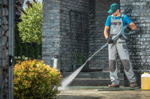 Best Soft Washing  in Woodhaven, MI