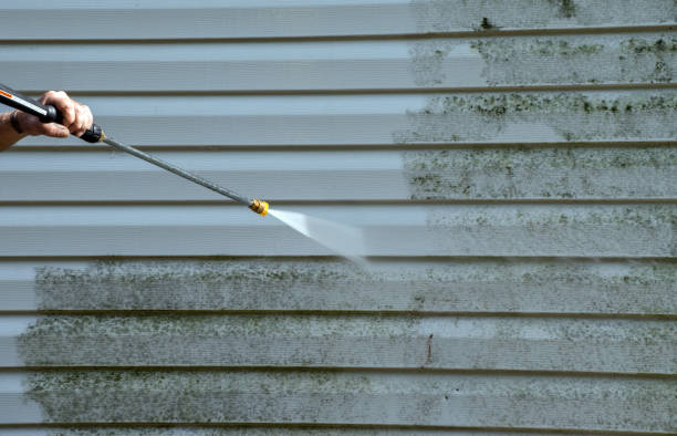 Best Sidewalk and Walkway Cleaning  in Woodhaven, MI